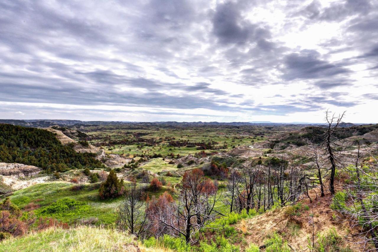 Badlands Suite Less Than 1 Mi To Teddy Roosevelt Park! Medora Zewnętrze zdjęcie